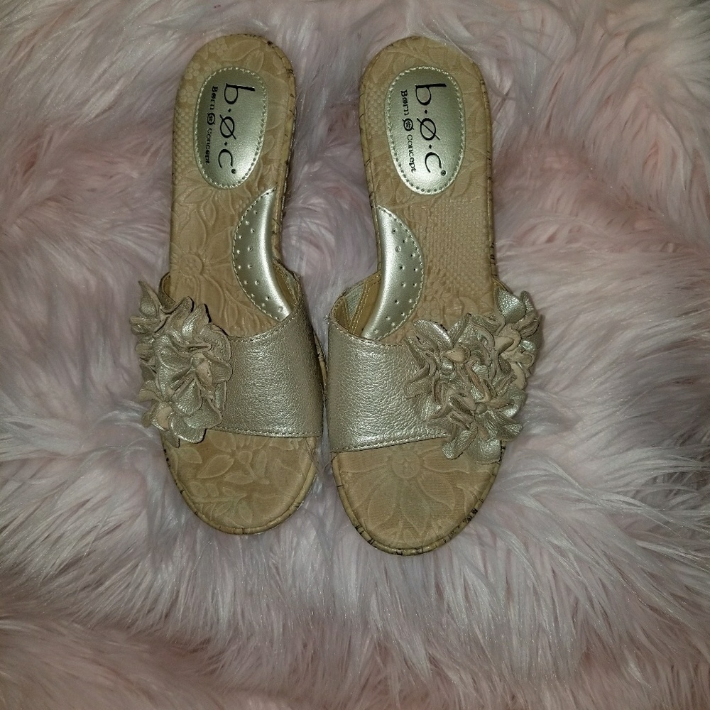 Born wedges